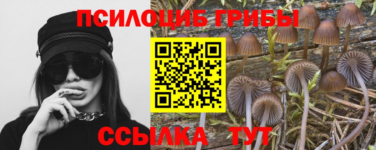 Галлюциногенные грибы прущие грибы  Псилоцибиновые грибы Psilocybe  Вход с VPN  Когалым 